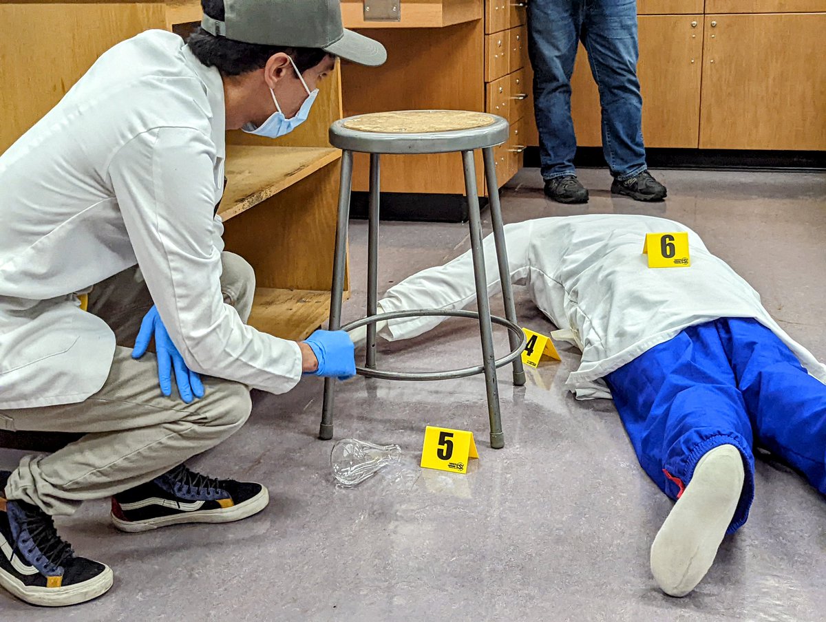 StacyKTweets's tweet photo. Wow, @SaddlebackHS students created a crime scene investigation during the 1st week of school! How cool is that‽ @CTEsausd prepares Ss for the #SAUSDGraduateProfile to earn High Skill, High Wage &amp; High Demand Careers!
#WeAreSAUSD
#Proud2BeSAUSD
#KidsDeserveIt
#SAUSDFirstDay2022 https://t.co/7TPQ7A8i2f