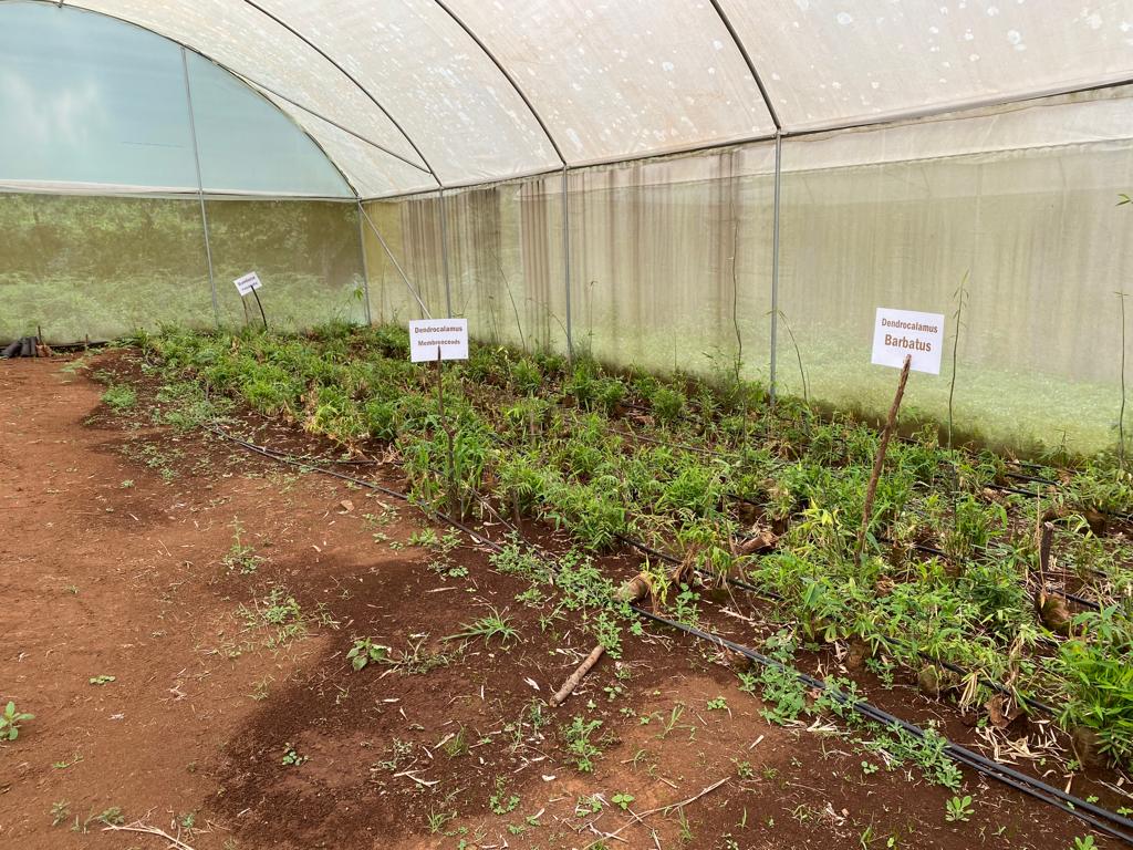 RhinoArk's tweet photo. Chehe Community Forest Association (CFA) members meet to secure financial support from the Rhino Ark/@calgaryzoo Mountain Forest Partnership for mountain #bamboo proliferation scheme.
#RhinoArkPartnerships #RhinoArkOperations #bamboogrowing #bambooplant #forestconservation https://t.co/nPjYPxjHPq