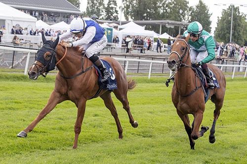 GoffsNordic's tweet photo. A Heatherwold Cup double for @Goffs1866 graduates on Norwegian Derby Day 🥂🍾👏🏻
2yo STARLIGHT SONG (@coolmorestud Starspangledbanner), @WidoNeuroth @Doyle_Racing #Orby, leads home #FebSale grad NUEVO ESTRELLA (Kodiac) in the prestigious juvenile contest.
Huge congrats 🍀🏆🙏🏻 https://t.co/qiqoa8RwFk