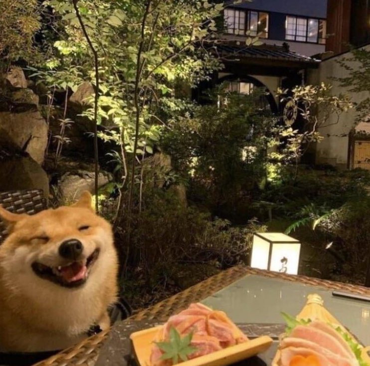 sussooss's tweet photo. - eres feliz comiendo??????
Yo: https://t.co/ukbLQCksME