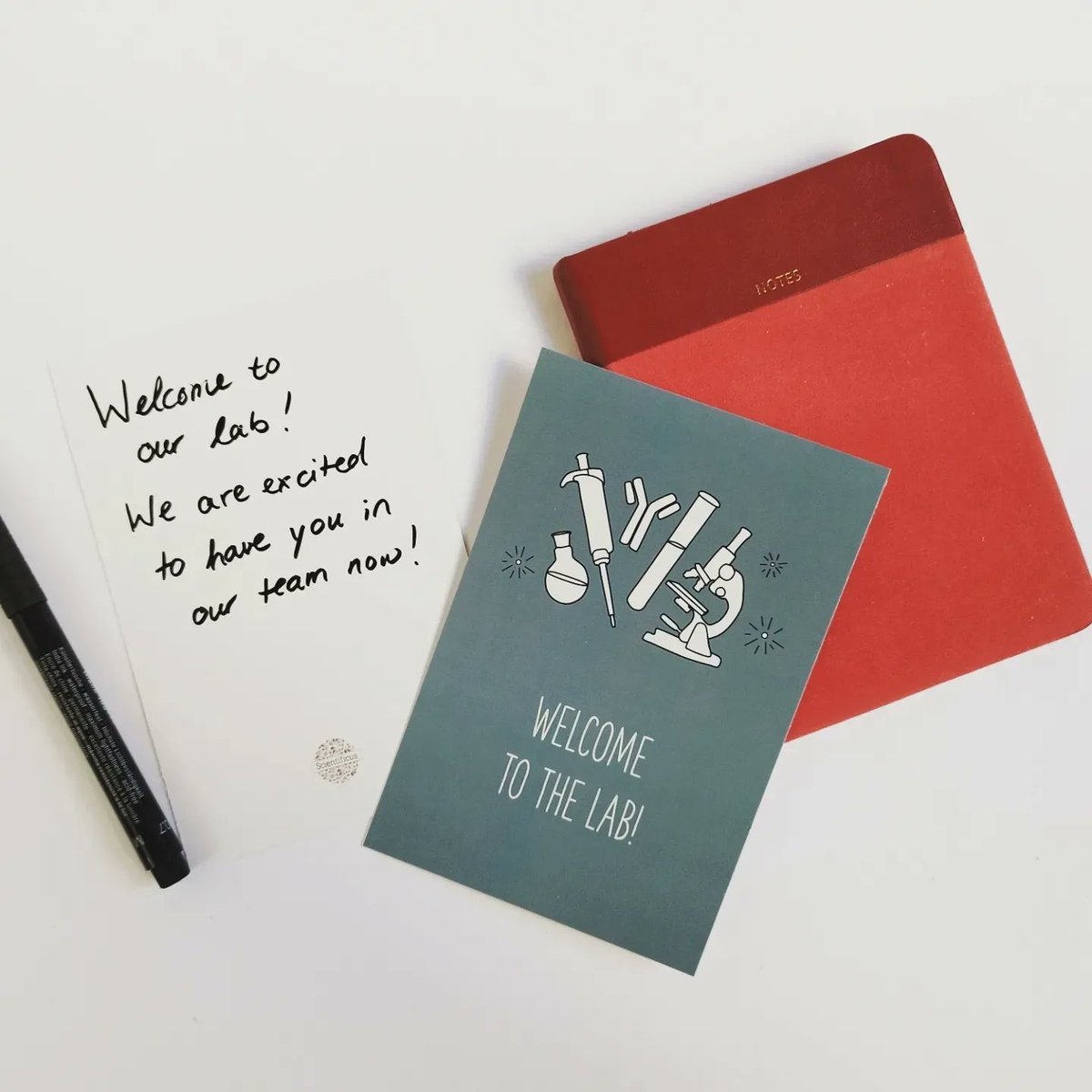 Are you soon supervising a Bachelor's or Master's student? Is there a new PhD or PostDoc joninng your lab? This card together with a kind note and small gift (chocolate, notebook, nice pen) could make them welcome from the first moment on! 
#phdlife #newpi #academia <a href="/PhDVoice/">PhD Voice - Independently Run</a>