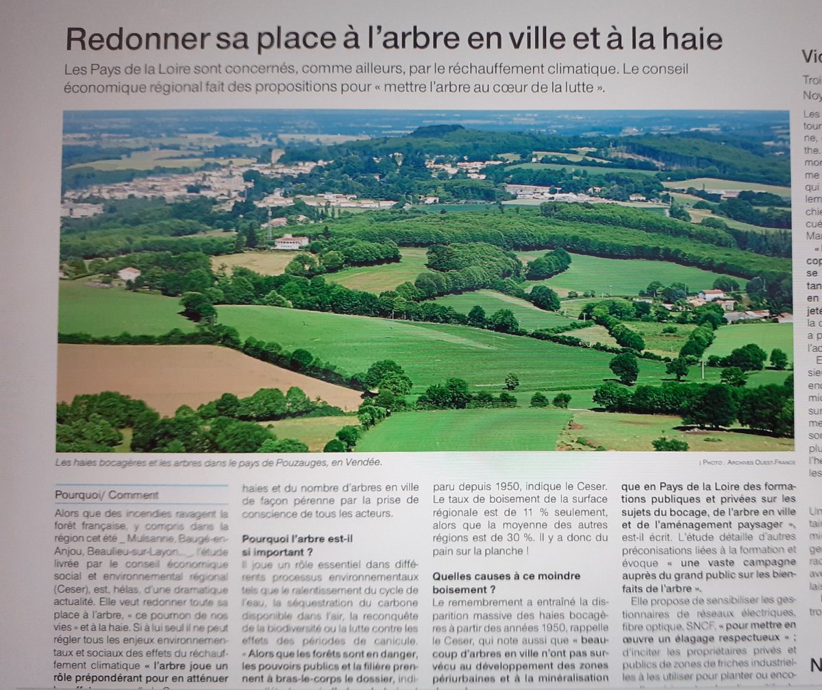 Marc_Bouchery's tweet image. Après un été caniculaire et une période de sécheresse intense, @OuestFrance revient ce matin sur l&apos;étude du @ceserPDL et l&apos;importance de l&apos;arbre et de la haie bocagère pour lutter contre le réchauffement climatique. &quot;Du grain à moudre&quot; pour les élus de la Region @paysdelaloire