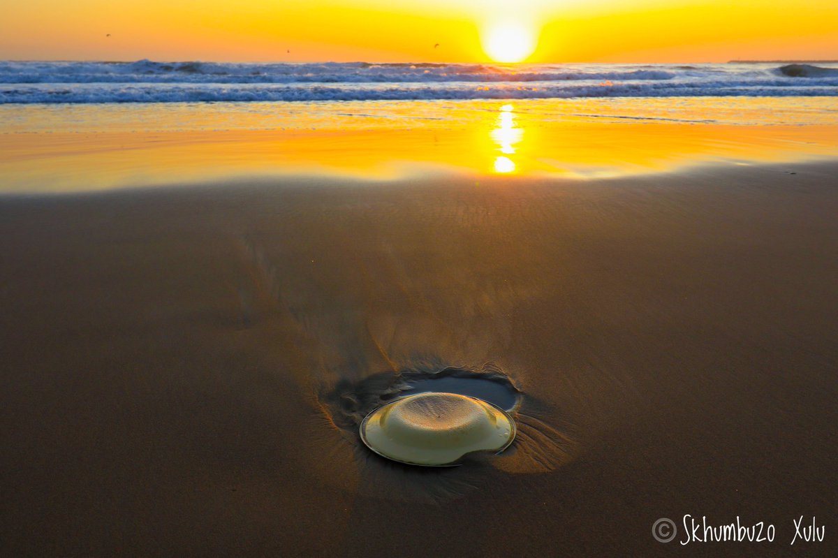 mccoovane's tweet photo. Good Morning South Africa 🇿🇦

Hope is like the sun, which, as we journey toward it, casts the shadow of our burden behind us.

#ilovedbn #ND #dnnbeach  #sunrise #durbanhasmore #dbntourism #kzntourism #cameratek #ilovemycity #worldphotographyday #photography #photographerweek https://t.co/39KvGApAqg