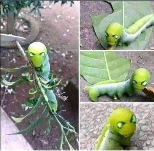 No puede haber mejor ejemplo de ir un lunes de agosto a trabajar.