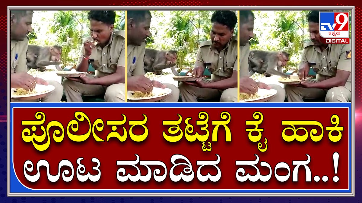 tv9kannada's tweet photo. Monkey: ಪೊಲೀಸರ ಜೊತೆ ಕುಳಿತು ಊಟ ಮಾಡಿದ ವಾನರ..! | Tv9 Kannada
Video Link►https://t.co/PeWhIPXvHt
#MonkeyEat #Police #MonkeyFeed #Gadaga #Policeconstable #Policeofficer #KannadaNews https://t.co/NQJrnqiAFE