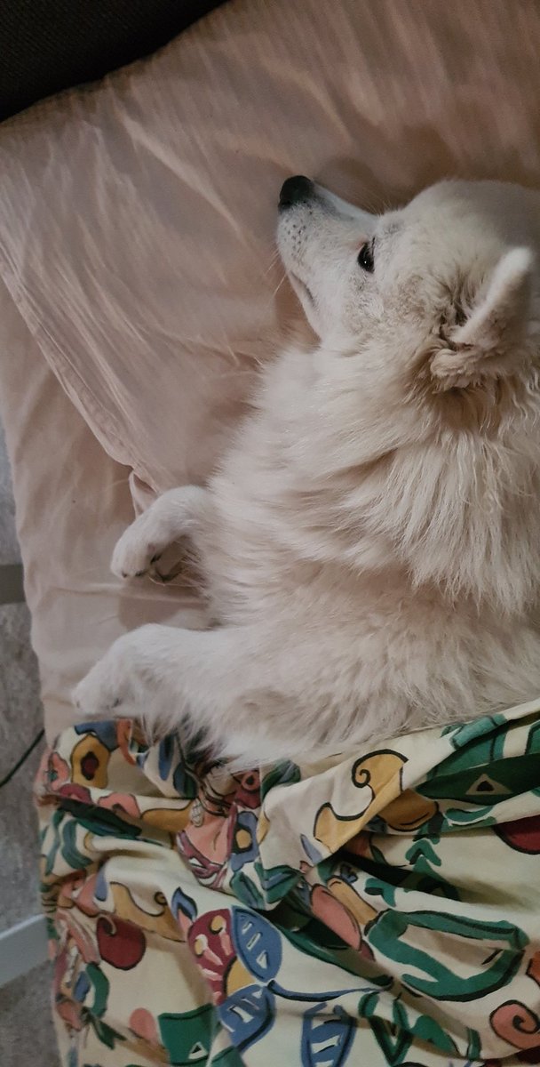 heptapus's tweet photo. monday mornings... nah... 😒 https://t.co/TxBAmswhAH