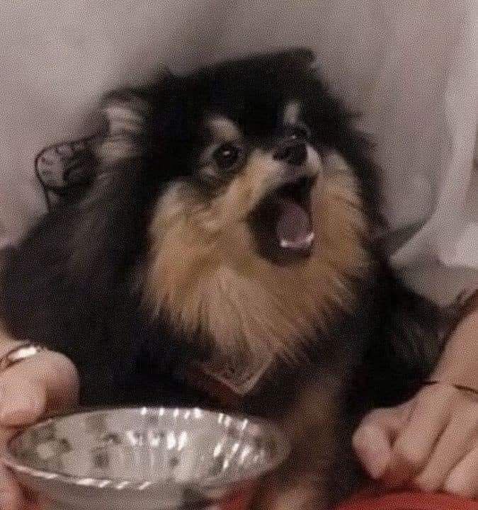 ไอบัมเหมือนโกรธใครไม่เป็น ส่วนอีกตัวโกรธตลอดเวลา