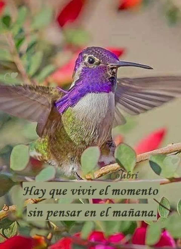 VidaEquilibrad4's tweet photo. https://t.co/ug1O3bZJ9r
