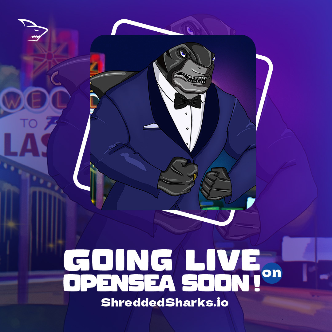 Shredded Sharks NFT tweet media