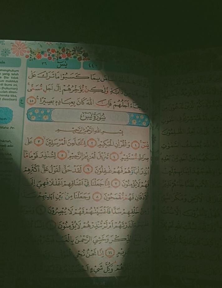sayid__machmoed's tweet photo. TATA CARA MEMBACA SURAT YASIN AGAR HAJAT SEGERA TERKABULKAN 

(وقال بعضهم) لفظة يس سبع مرات واذا بلغ في القراءة الى قوله ذلك تقدير العزيز العليم يكررها أربع عشرة مرة واذابلغ قوله سلام قولا من رب رحيم يكررهاست عشرة مرة واذا بلغ قوله أوليس الذي خلق السموات والارض بقادر على أن https://t.co/aUZD1nR0WH