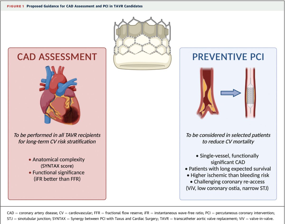 Mauro Gitto (@mauro_gitto) on Twitter photo In the study by <a href="/MintenLennert/">Lennert Minten</a>, CAD presence and ⬆️ SS in TAVR candidates were associated with ⬆️ all-cause and CV death at 5y. However, PCI and completeness of revasc had no impact of mortality.
Have a look at our editorial 👉 jacc.org/doi/10.1016/j.… <a href="/GGStefanini/">Giulio Stefanini</a> <a href="/JACCJournals/">JACC Journals</a> In the study by <a href="/MintenLennert/">Lennert Minten</a>, CAD presence and ⬆️ SS in TAVR candidates were associated with ⬆️ all-cause and CV death at 5y. However, PCI and completeness of revasc had no impact of mortality.
Have a look at our editorial 👉 jacc.org/doi/10.1016/j.… <a href="/GGStefanini/">Giulio Stefanini</a> <a href="/JACCJournals/">JACC Journals</a>