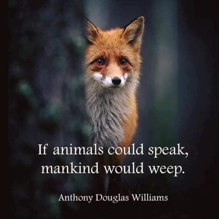 jennifersterri1's tweet image. #humanssuck
