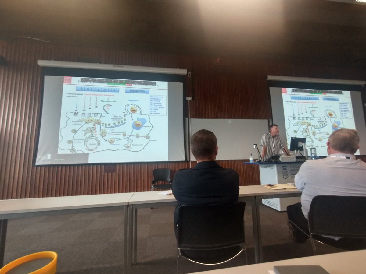 "Do you find endocytosis exciting?" Second session at the  <a href="/BritSocNanoMed/">British Society For Nanomedicine</a> annual meeting #bsnm2022