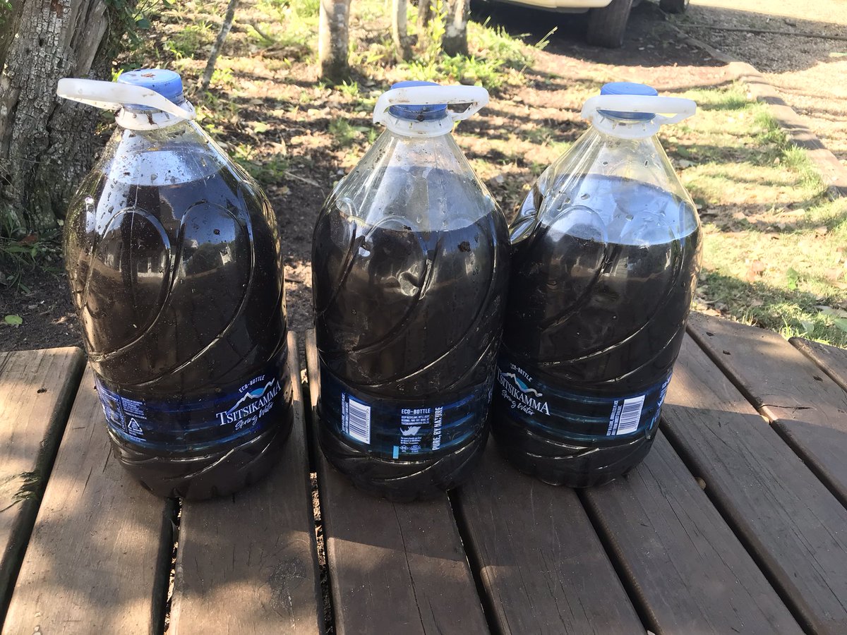 LornaChristie5's tweet photo. My first batch of #wormtea yeah me! https://t.co/fGrgkCl8CV