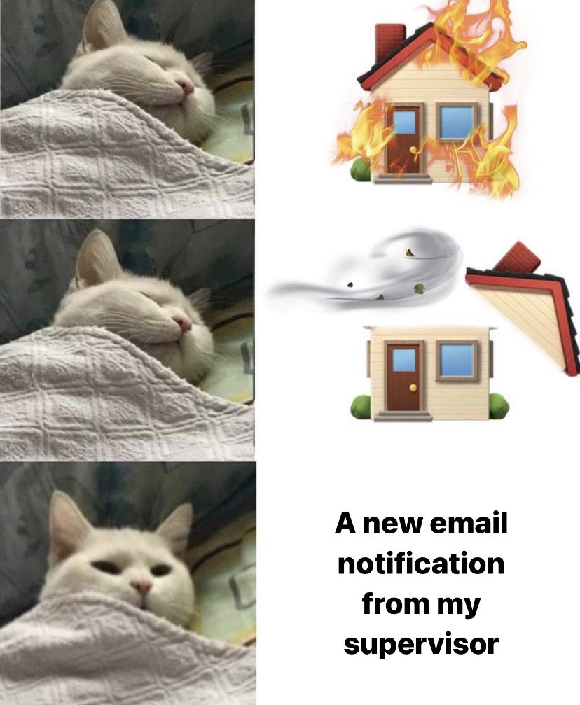 PhD journey (@phdjourney07) on Twitter photo When my supervisor emailed me
#AcademicTwitter #phdlife #phdchat <a href="/PhDVoice/">PhD Voice - Independently Run</a> <a href="/OpenAcademics/">OpenAcademics</a> <a href="/AcademicChatter/">Academic Chatter™</a> When my supervisor emailed me
#AcademicTwitter #phdlife #phdchat <a href="/PhDVoice/">PhD Voice - Independently Run</a> <a href="/OpenAcademics/">OpenAcademics</a> <a href="/AcademicChatter/">Academic Chatter™</a>