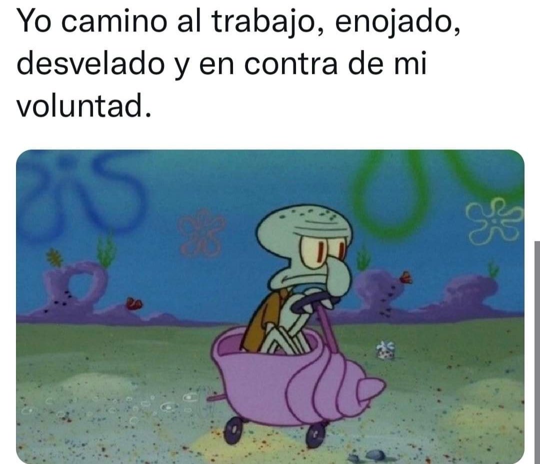 Los mejores memes de lunes: son tan graciosos que te ayudarán a enfrentar  otro día de trabajo | Entretenimiento Cultura Pop | Univision, image size:1080x928