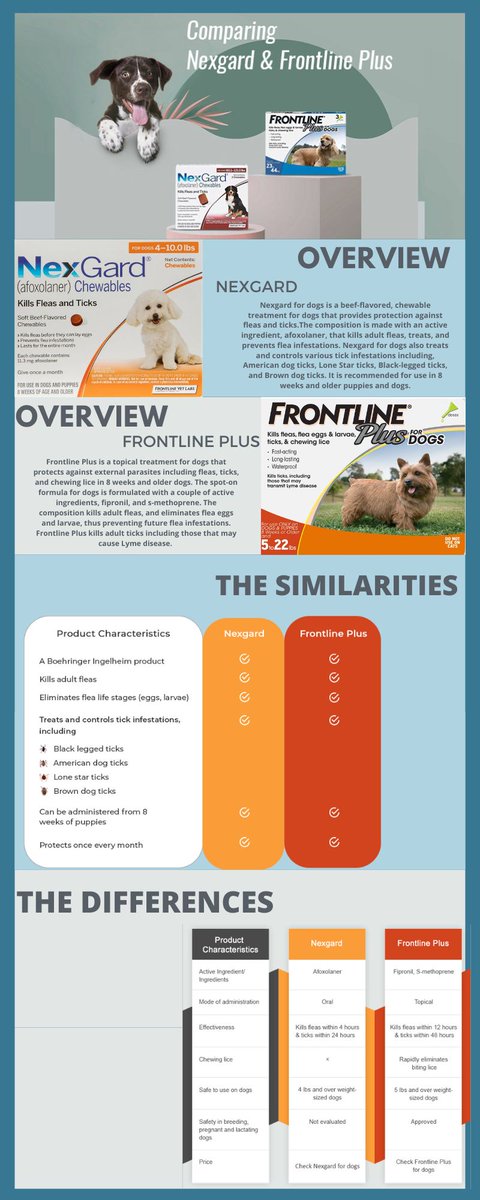 petcaresupply's tweet image. Frontline Plus Or Nexgard ?? 

Which One You Prefer? 

Know More: bit.ly/3R27vUW

#frontlineplus #nexgard #buynexgardonline #buyfrontlineplusonline #cheapestnexgardfordogs #cheapestfrontlineplusfordogs #nexgardfordogs #frontlineplusdogs #fleasandtickstreatment