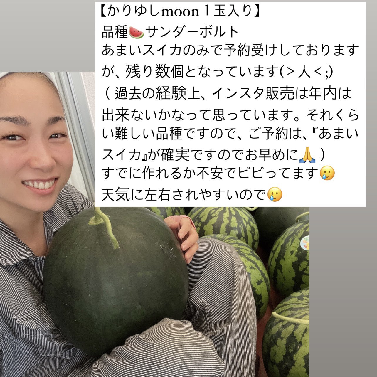 Tweets With Replies By 萩原農場 Hagihara Farm Twitter