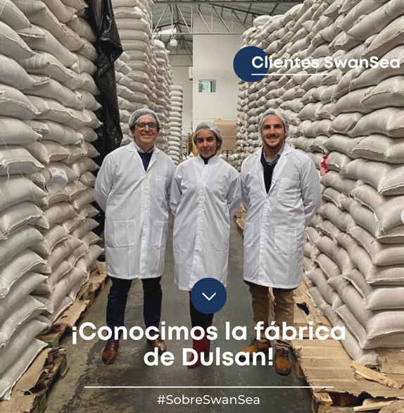 #SWANSEA Hace algunos días, visitamos la fábrica de uno de nuestros clientes, #Dulsan, quienes se dedican a la exportación de semillas de chía, sésamo, etc.

#swanseashipping
#yangming

instagram.com/p/ChdZQ2IuGc-/