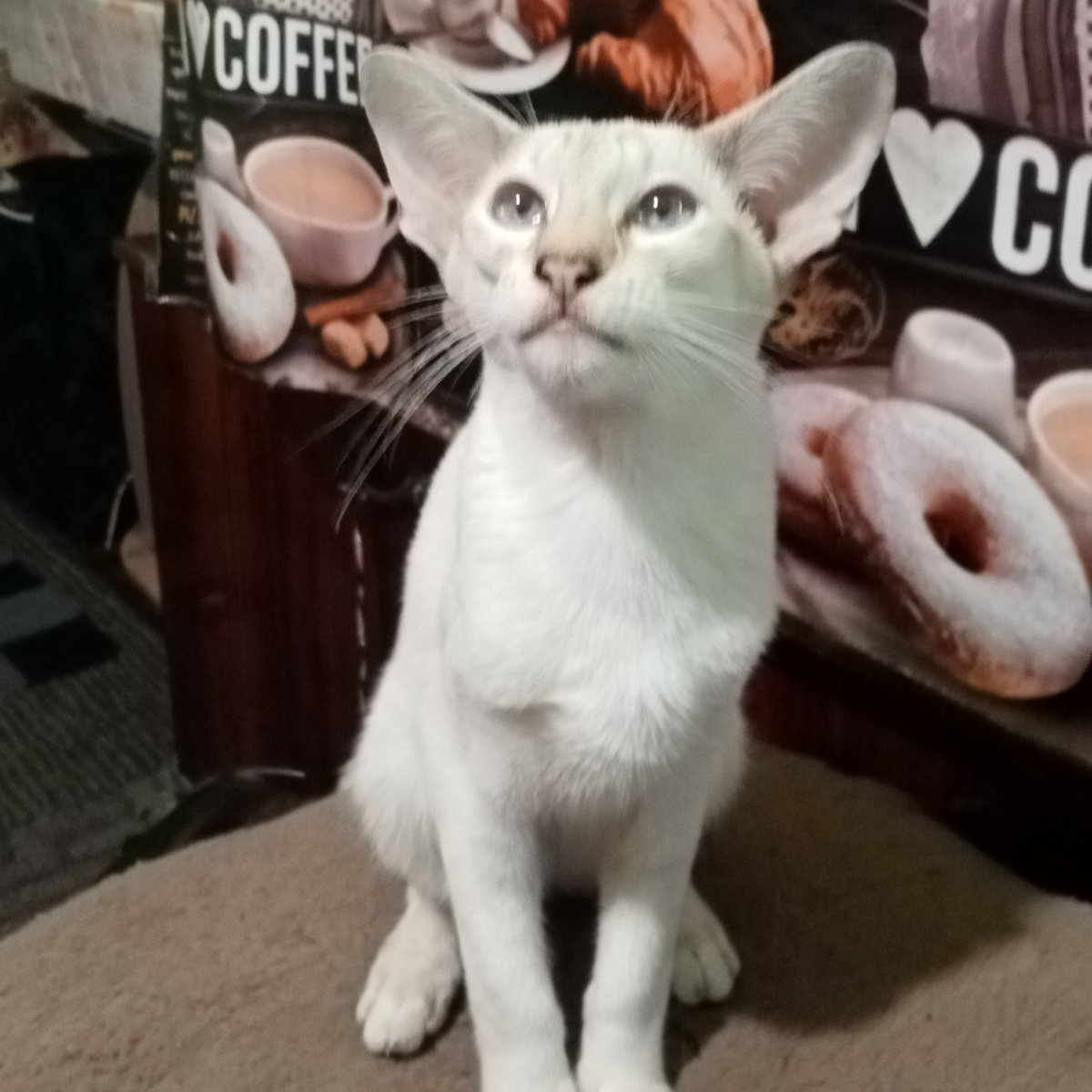 Вы правы-у Арнольда интеллигентное лицо. Мне кажется-ему бы пошли очочки м шляпа.🧐