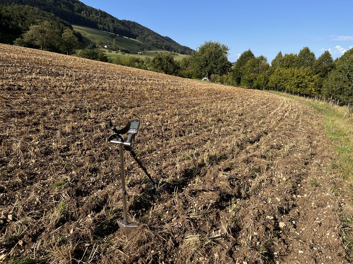 salznix75's tweet photo. #equinox800                                                  viel müll im feld und trotzdem schwein☝️ https://t.co/lEimFkU40W