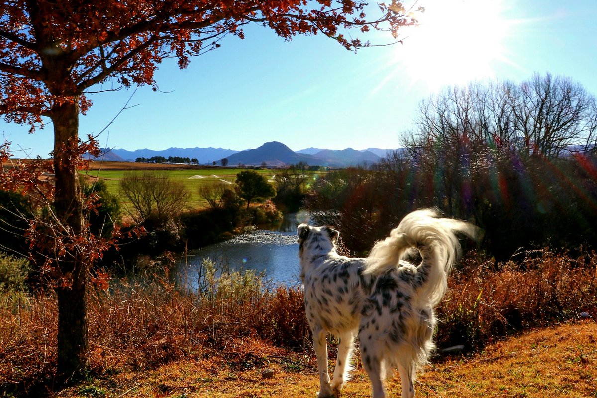 ❤Pls join the group below for things to do &amp; the beauty of our KZN

 #KZNhasitall  #Drakensberg #TravelChatSA #DurbanHasMor #SouthernDrakensberg #KwaZuluNatal #RuralTourism #DoKZN 
#Tourism #travel #SouthAfrica #ShareSouthAfrica #becausesouthafrica 🇿🇦
🌟facebook.com/groups/underbe…