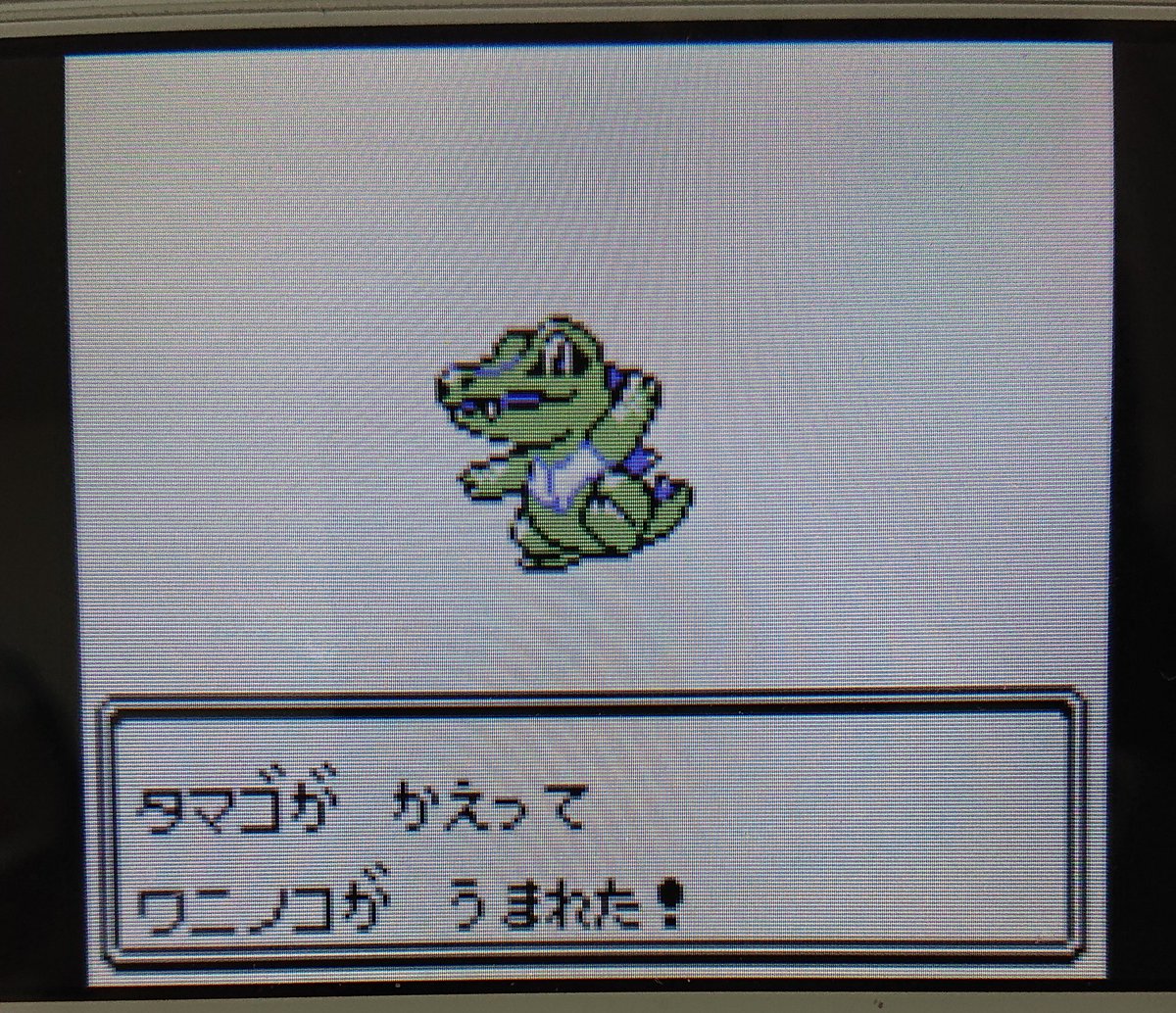 ポケモンgo ワニノコの色違い 入手方法と実装状況 攻略大百科