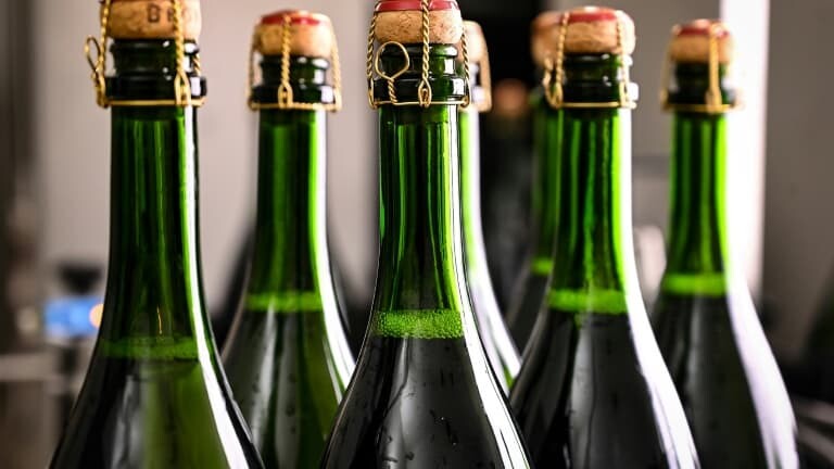 Champagne: pourquoi la vendange s'annonce abondante et de grande qualité en 2022
l.bfmtv.com/TL1