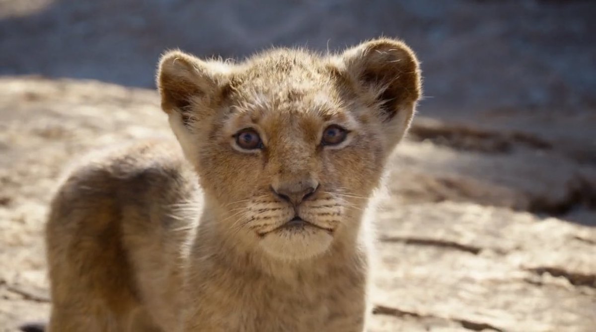 I’m not joking when I say this is quite literally the worst thing I’ve ever seen in my life put to film. 

These are the same moments in the Lion King story: the moment Simba notices the stampede