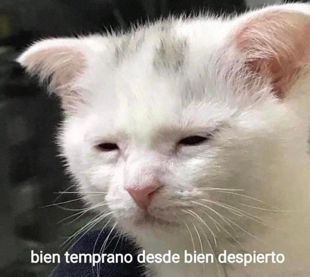Guarromantico_'s tweet photo. Yo, en estos momentos: https://t.co/fGwl1HLzVm