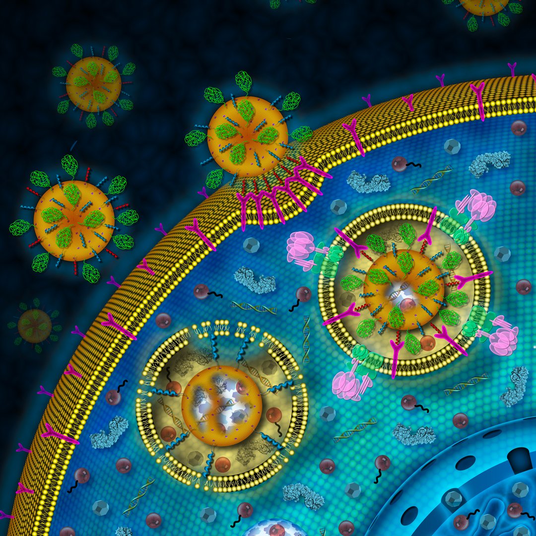 ECLT_Venice's tweet image. 🔬Our research units - #LivingTechnology
 
Our team studies #technologies characterized by robustness, autonomy, energy efficiency, #sustainability, #intelligence, #adaptation and other properties that most current technologies lack, but #livingsystems possess.