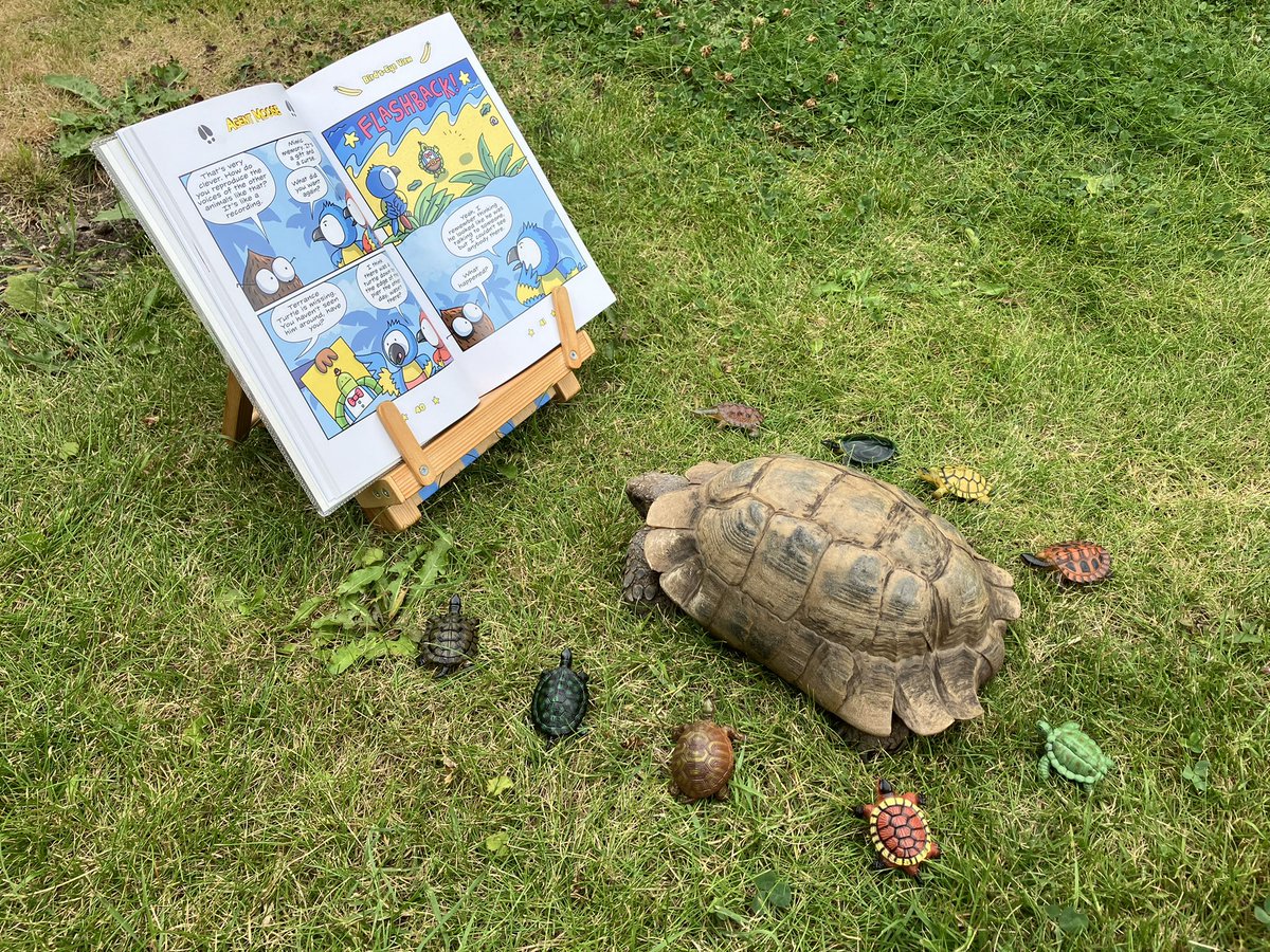 PrinceTobyTort's tweet photo. Iโve brought in some little detectives to help Agent Moose search for Terrance Turtle. Iโm sure weโll find him in no time! @Mo_OHara @VenkmanProject #TurtlePower #TortoisePower https://t.co/gxywE8vjGh