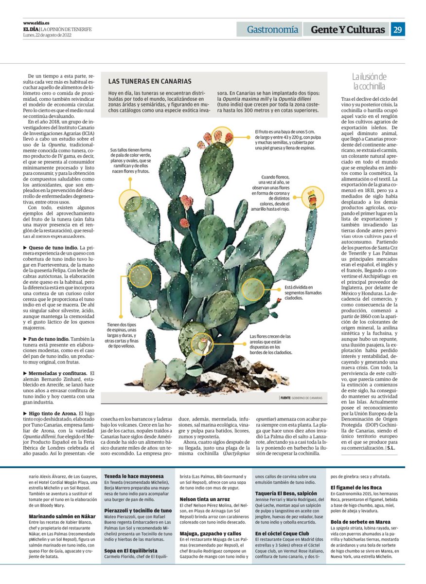 AlfonsoJLT's tweet photo. 🌵 La #tunera fue una de las primeras especies que llegó al continente europeo procedente del Nuevo Mundo, desembarcando en las costas españolas en el siglo XVI.
#SaboreandoCanarias #HigoPico #Tunos https://t.co/UcLlKg2aOl