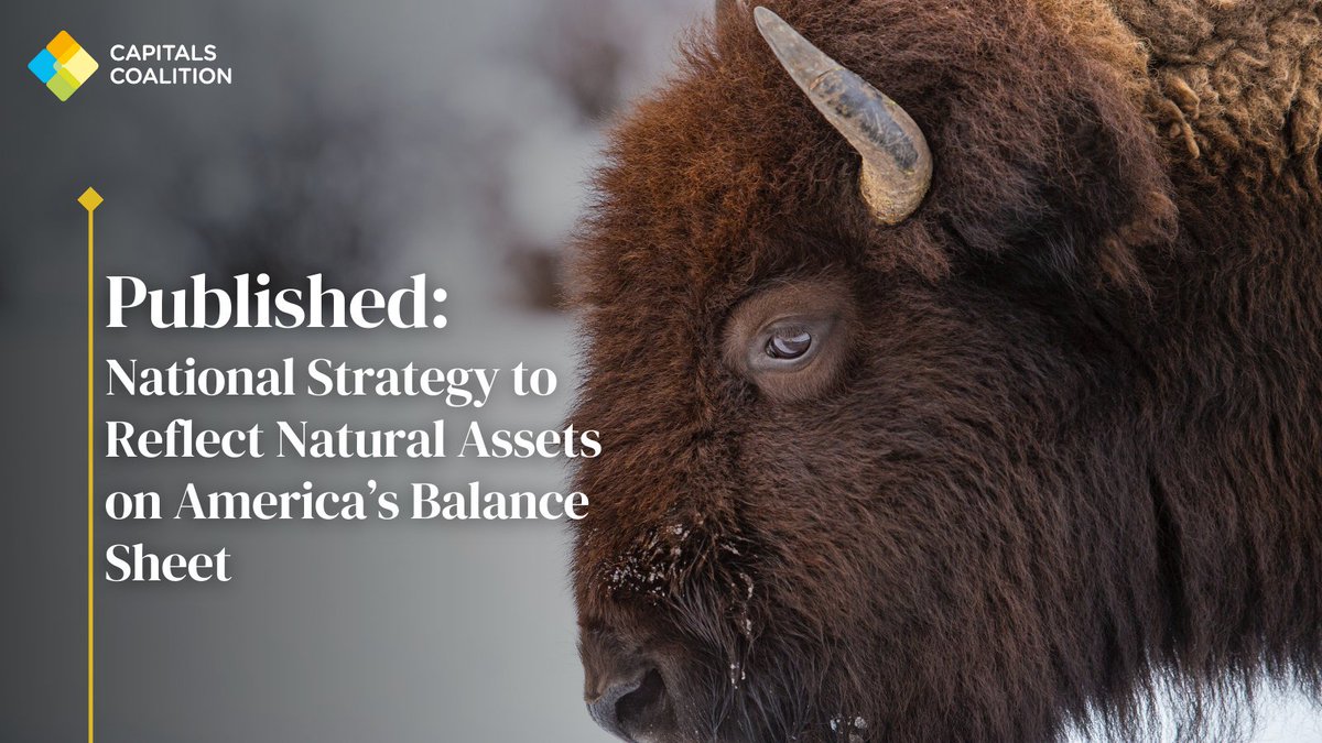 Capitals Coalition tweet media