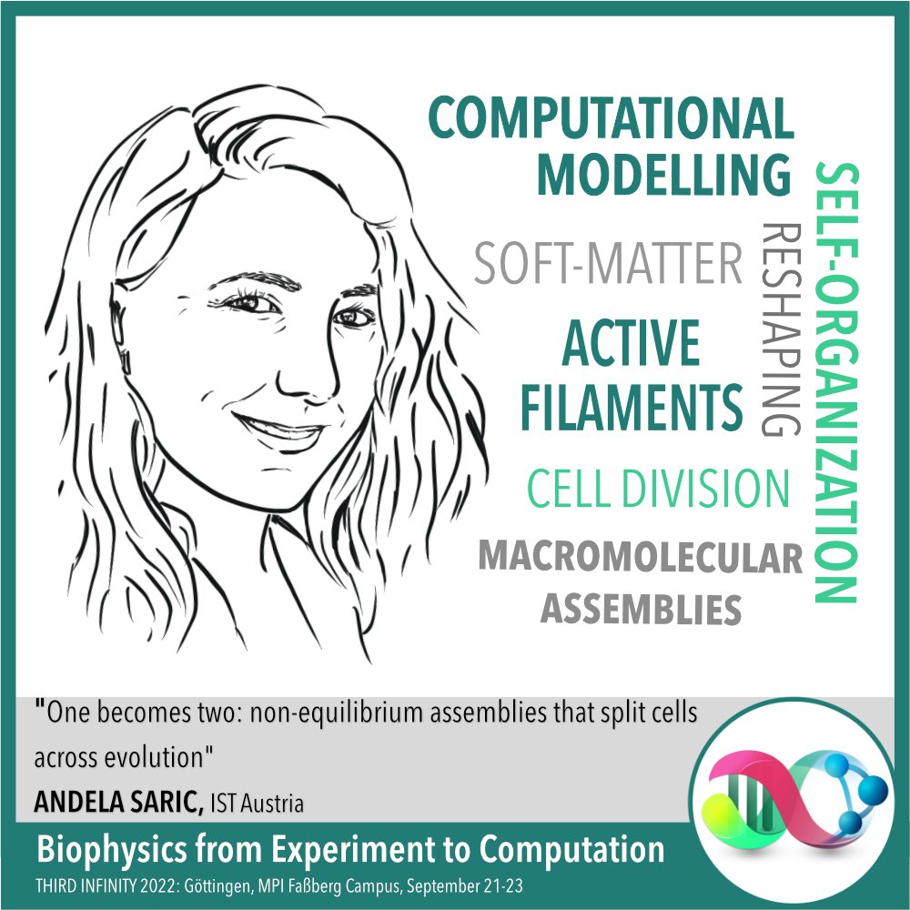 How can we study the assemblies of molecules into living machines with minimal coarse-grained models? <a href="/SaricLab/">Andela Saric</a> will present her research on computational modelling of active filaments that dynamically reshape and cut cells. Join us for her talk on September 23!