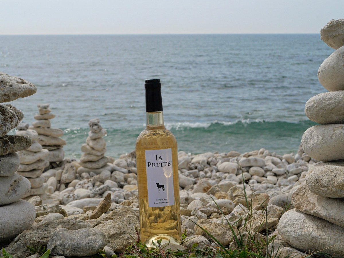 ChlaLevrette's tweet photo. Détente, amusements, jeux de cailloux, se relaxer avant la reprise !

#bouteille #bouteilledevin #bouteillealamer #bouteilleenverre #bottle #winebottles #bottleandsea #cailloux #caillouxblancs #galets #plagedegalet #plagedegalets #plagedegaletsblancs #mer #vinetmer #jeu #jeux https://t.co/xTlP1kbBhn