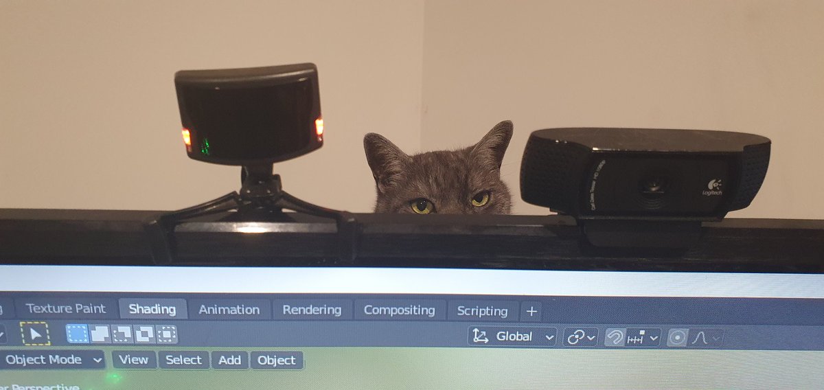 novawing24's tweet photo. Stood up from my desk and was greeted with this...
#CatsOfTwitter #catsofflightsim #supervisorkitty #supervisorcat https://t.co/SJWkA35quA