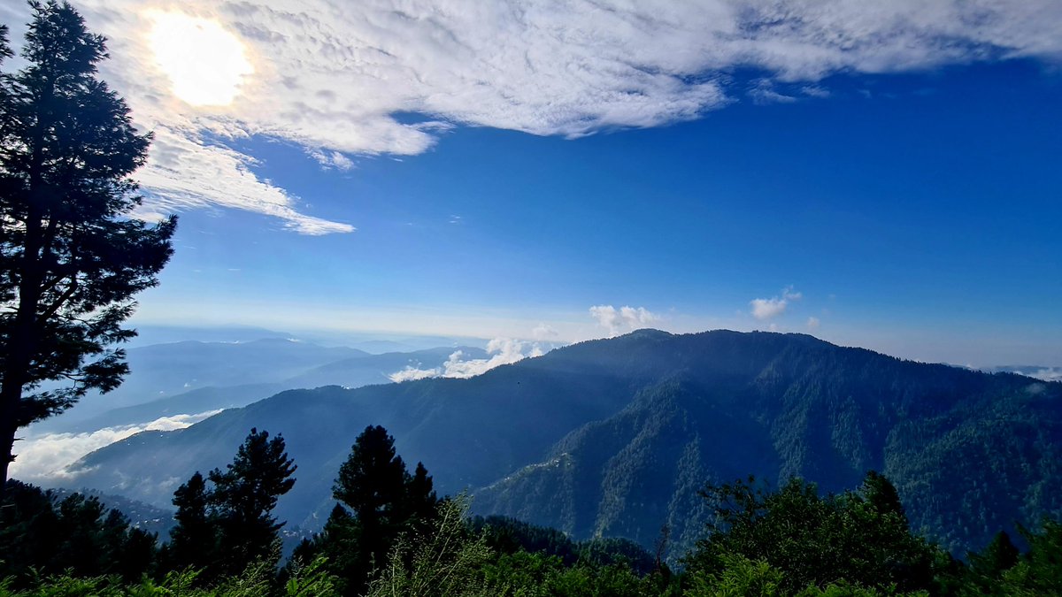 Hiked for 32 km (12 hrs) yesterday from Nathiagali to Abbottabad. This track blows my mind every time. So wild, dense and serene. Nature at its purest, untouched form. My happy place. Odor of wet soil, pines. Breathtaking #forestlove #hikemoreworryless #dowhatyoulove #nathiagali