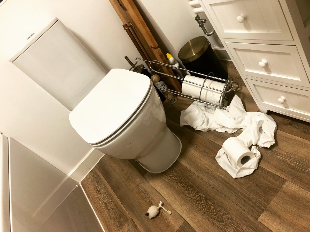 EJM1978's tweet photo. Get another kitten she said, it will be lovely she said….. 🙈🙈🙈🙈🙈🙈 #maverick #CatsOfTwitter #kittenattack #destroyerofbathrooms #whenthemouseisnotenough #toiletrollchallenge https://t.co/gkiKPBYm8M