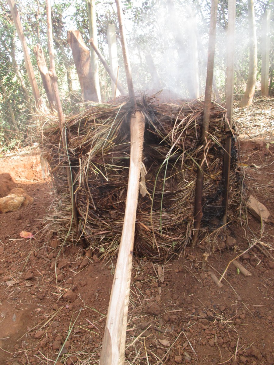 rkimbowa's tweet photo. #Charcoal making from a small #acacia that I cut back due to overgrowth. I look fwd. to getting some charcoal to offset my home #cooking 🔥costs. 

#BTW this traditional charcoal making method is quite widespread but wasteful! 

#solns4earth #SustainableLiving #biomassenergy https://t.co/AkXNZRm9fd