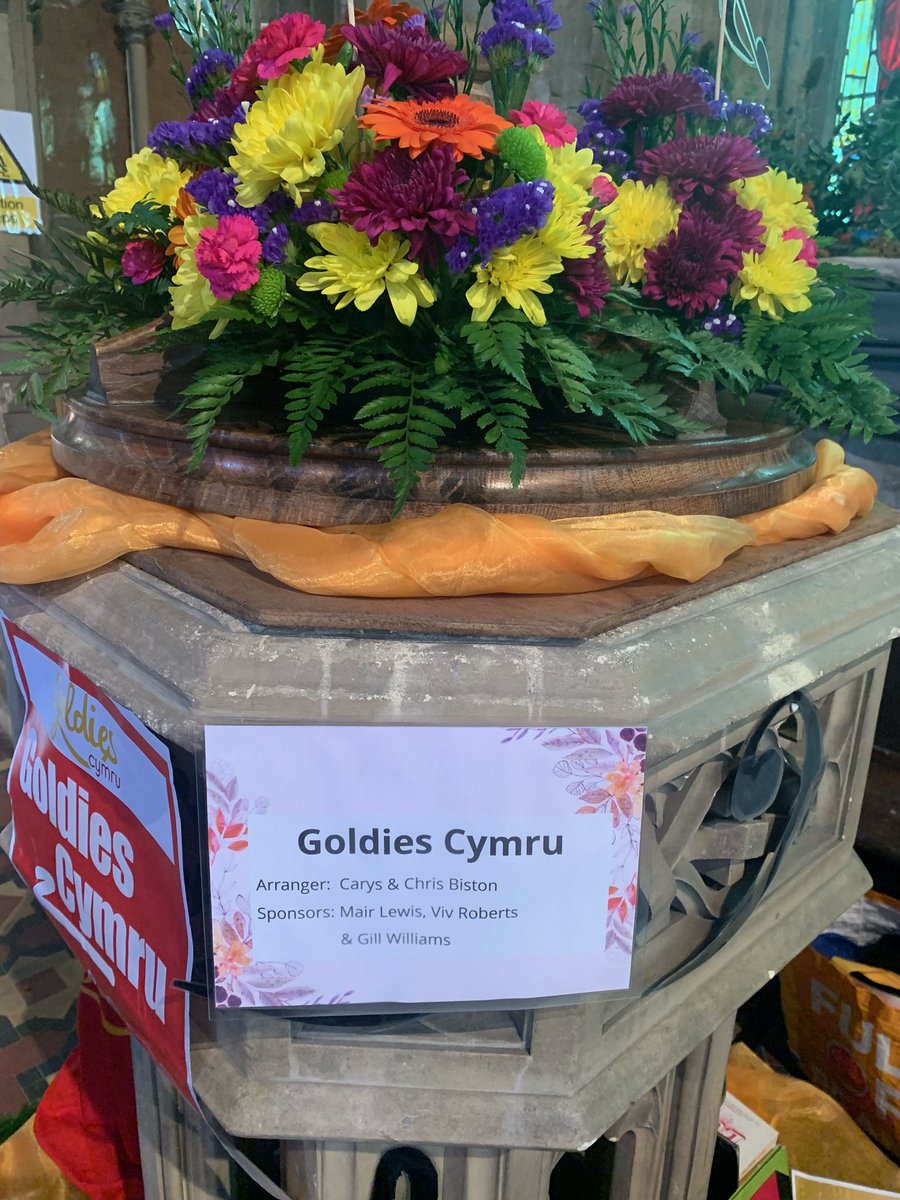 We’ve been busy at Goldies Cymru dropping into some wonderful events across Wales.

<a href="/DementiaPowys/">Dementia Matters in Powys</a> Summer Jubilee Games 

And

Pontardawe Flower Festival - with special thanks to Mair Lewis Gillian Williams and Viv Roberts for sponsoring our display.