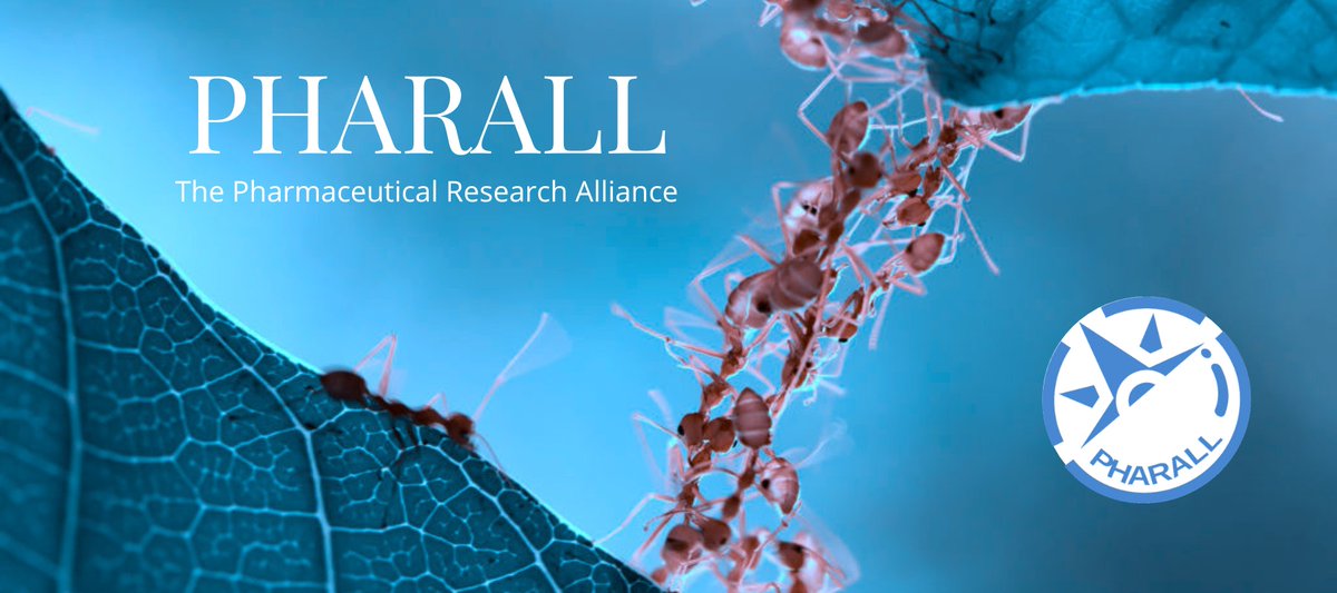 Risklick tweet media