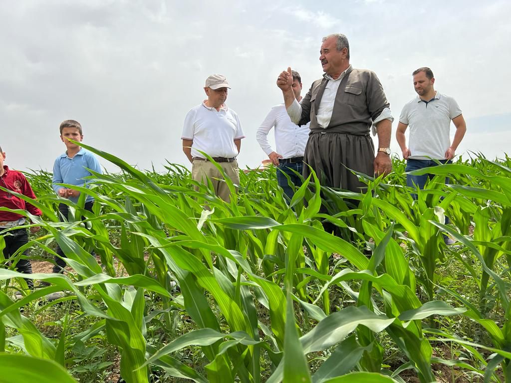 ECO Consult's CEO visit to The Iraq Horticulture Development Program projects in Iraq
زيارة مدير عام إيكو كونسلت للمشاريع تحت برنامج تطوير البستنة في العراق  
#irrigation #efficiency #agriculture #dripirrigation #productivity #ECOConsult #Farmers #Innovation
