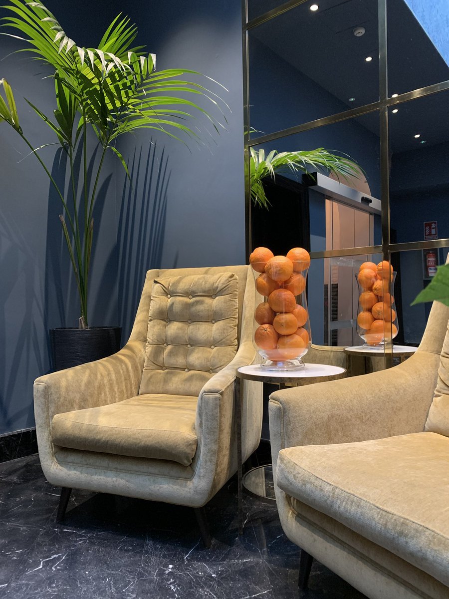 Bienvenidos a Halo Boutique Hotel, su hotel en el corazón del Barrio de Santa Cruz en Sevilla .

👉🏻Para información y reservas contacte con Halo Boutique Hotel en nuestra web o a través de nuestro mail o teléfono👇🏻
👉🏻info@halodesevilla.com
👉🏻☎️+34 660 033 514

#haloboutiquehotel