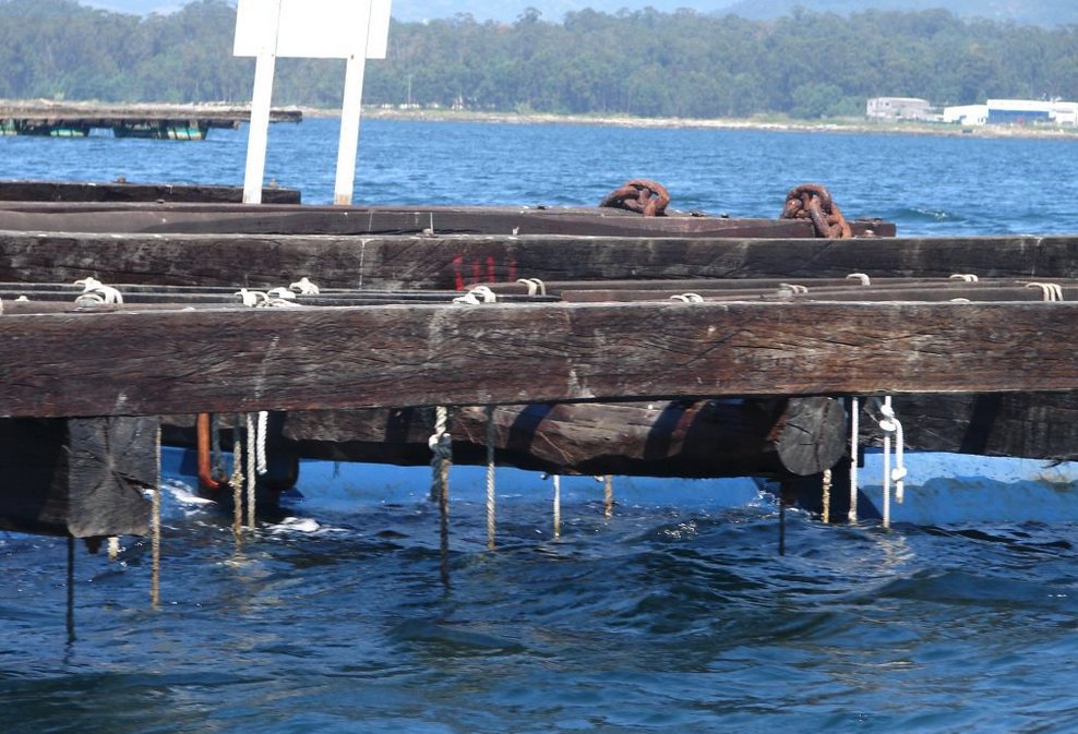 IPacuicultura's tweet image. Galicia convoca las ayudas para la creación de organizaciones de productores pesqueros (OPP) y asociaciones de organizaciones de productores pesqueros  (AOP) del sector de los productos de la pesca y de la acuicultura ow.ly/KaPn50Kp0ZB