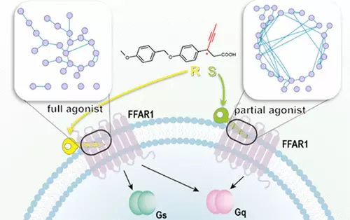 JCIM_JCTC's tweet photo. Mechanistic Studies on the Stereoselectivity of #FFAR1 Modulators #compchem #drugdesign  
https://t.co/o49irCp0Cb 
#current_issue #JCIM #Pharmaceutical_Modeling https://t.co/O6lmAY1Fio