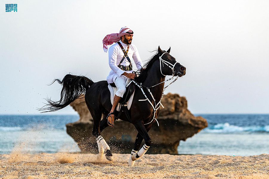 "واس" تفوز بالمركز الأول في مسابقة الاتحاد السعودي للفروسية "الخيل بعدستك".
spa.gov.sa/2378232
#واس_جودة_الحياة