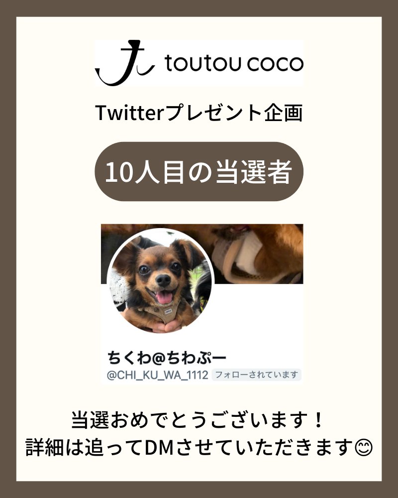 toutou_coco's tweet photo. #toutoucoco 新商品、
『プレミアムドッグフード』
プレゼント企画の当選者発表
_____________________

10人目の当選者は、
@CHI_KU_WA_1112  さんです🎉

おめでとうございます🧴😊 https://t.co/dnWmMQrhDU
