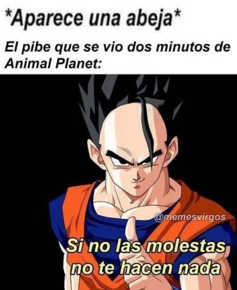 Renezzbro's tweet photo. Yo la mato, por si acaso. https://t.co/wObUFrT265
