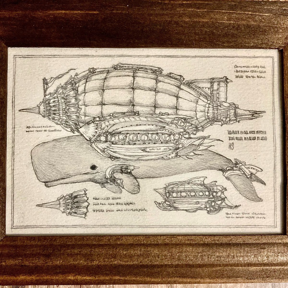空想生物図「鯨飛行船・マッコウクジラ」 